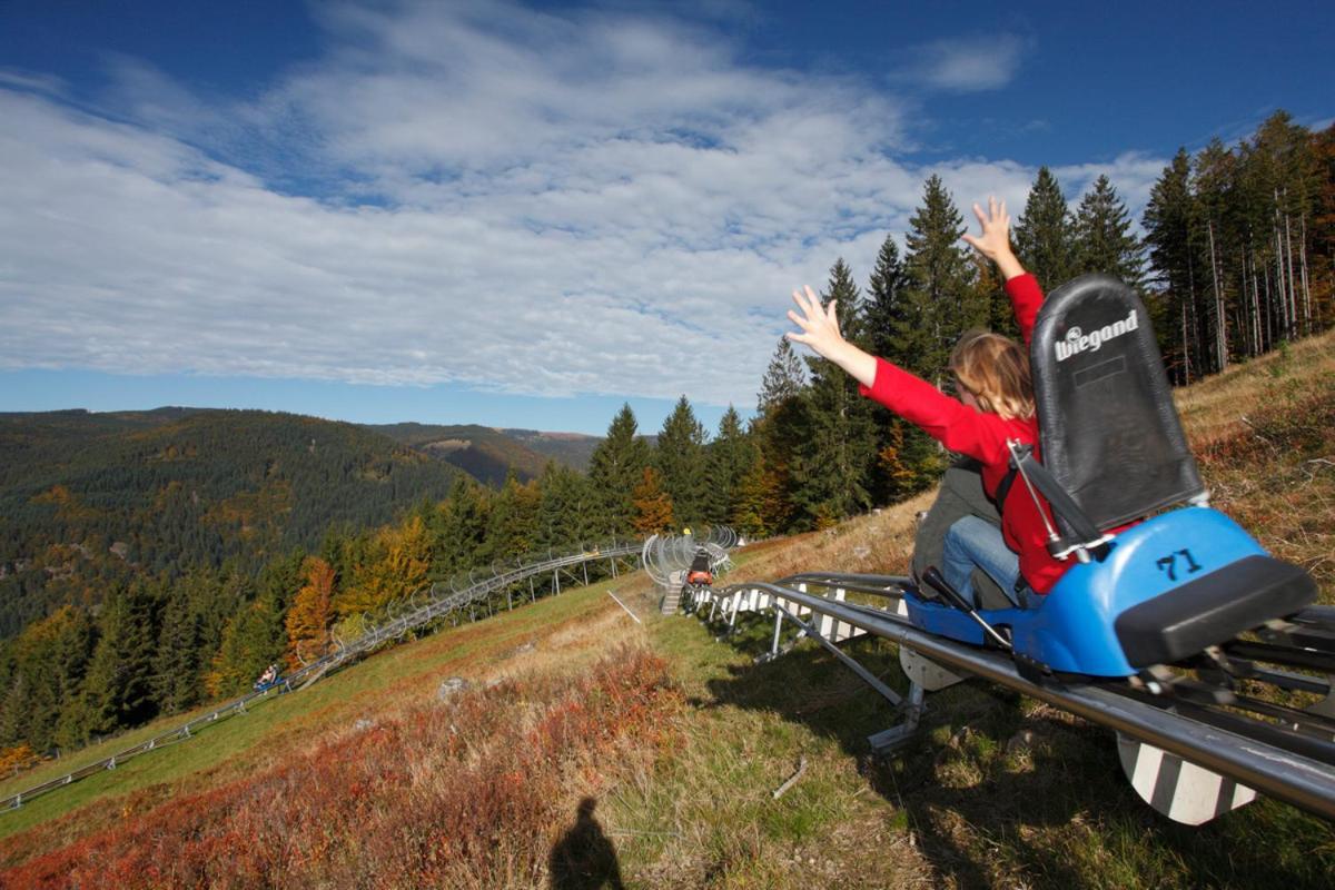 Апартаменти Black Forest Living - Тодтнауберґ Екстер'єр фото