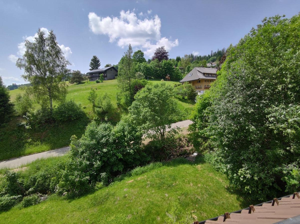 Апартаменти Black Forest Living - Тодтнауберґ Екстер'єр фото