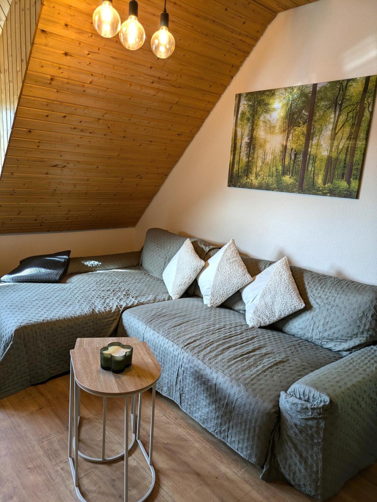Апартаменти Black Forest Living - Тодтнауберґ Екстер'єр фото