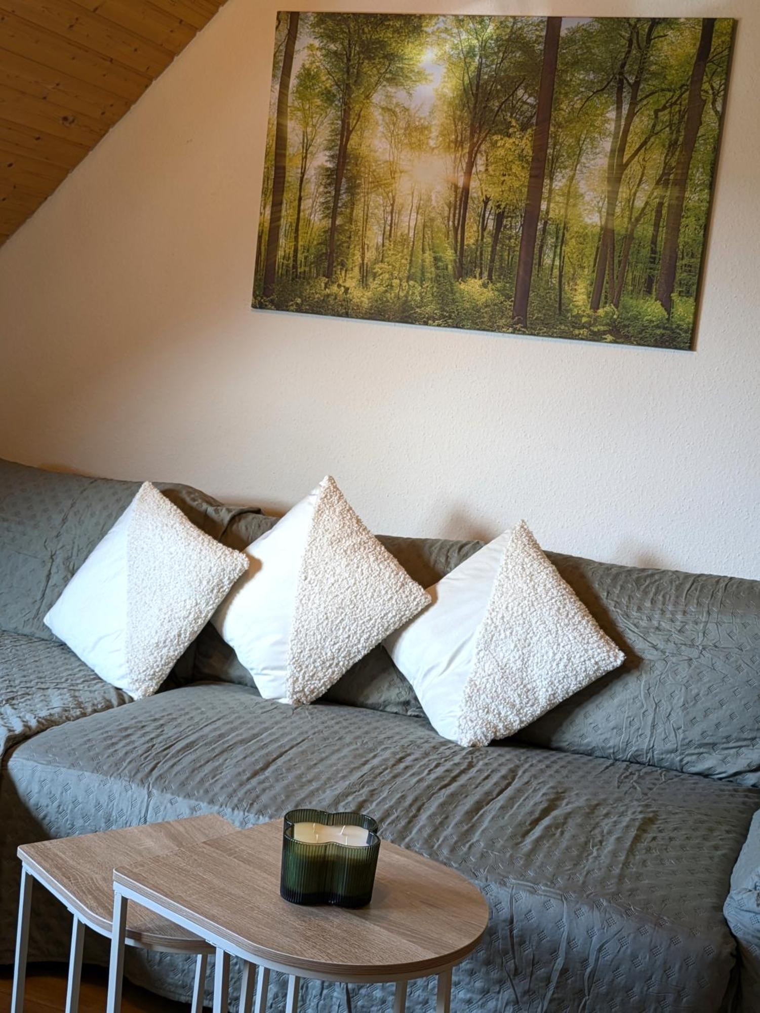 Апартаменти Black Forest Living - Тодтнауберґ Екстер'єр фото